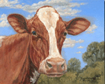 Red Holstein Face